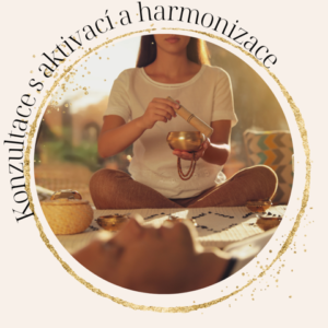 Konzultace s aktivací a harmonizace